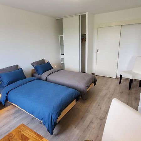 L'Ecrin De Saint Genest Lerpt - Belle Vue Et Calme Apartman Kültér fotó